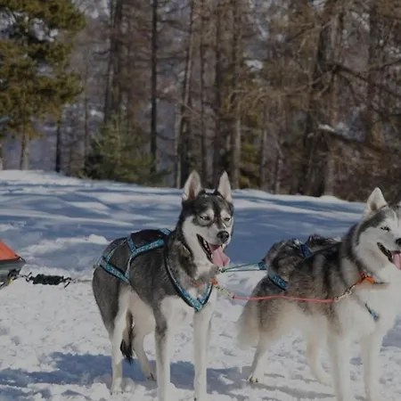 펜션 Entier Proche Et *