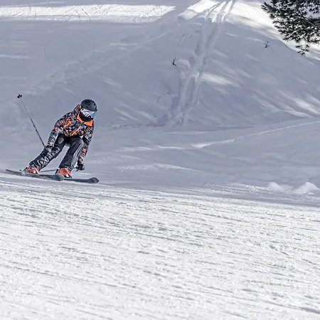 Entier Proche Et Seyne